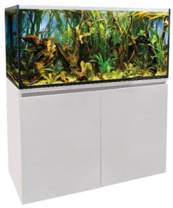 AquaSys 315 Tropical Plant Aquarium 315L for Sale Canada