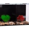 Betta Condo Duo 40x24x24cm Aquarium for Sale Canada