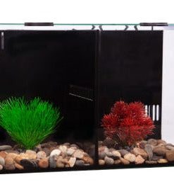 Betta Condo Duo 40x24x24cm Aquarium for Sale Canada