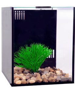 Betta Condo Mono 20x24x24cm Nano Aquarium for Sale Canada