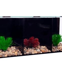 Betta Condo Trio 60x24x24cm