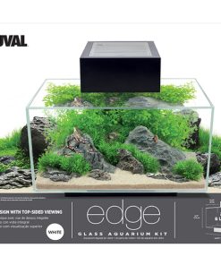 Fluval Edge Aquarium White for Sale Canada | Modern Designer Fish Tank