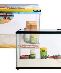Hermie's House Kit Hermit Crab Habitat for Sale Canada