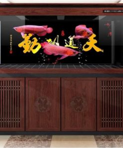 Minjiang MJ4 LC1200B-9C Aquarium System for Sale Canada