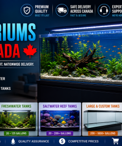 Buy Aquariums in Canada