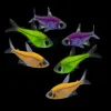Glo Pristella Starfire Red Tetra (Pristella maxillaris) for Sale Canada | Vibrant Community Fish