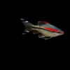 Denisoni Barb (Sahyadria denisonii) 1.5" for Sale Canada | Roseline Shark