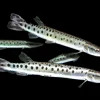 Marbled Gar (Boulengerella maculata) 8 Inch Canada | Buy Freshwater Needlefish Online