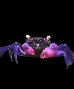 Vampire Crab (Geosesarma dennerle) for Sale Canada | Rare Terrestrial Crab